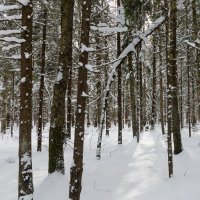Зимний пейзаж :: Владимир Лазарев Зимний пейзаж :: Владимир Лазарев