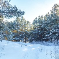 Сказочная зимняя тропа :: Владимир Кириченко