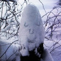 Интересный пенёк :: Людмила Смородинская Интересный пенёк :: Людмила Смородинская