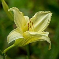 4036 :: Alex . 4036 :: Alex .