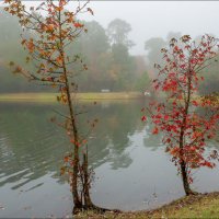 Утро :: **** vedin