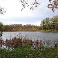 Озеро Лесное, Калининград :: Рита Симонова Озеро Лесное, Калининград :: Рита Симонова