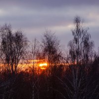 ___ :: Галина Ложечникова