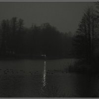 Ночной :: Aleksandr Gal