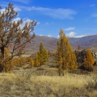 Осенние ландшафты :: елена беликова