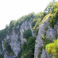 АХШТЫРСКОЕ УЩЕЛЬЕ СОЧИ :: Tata Wolf