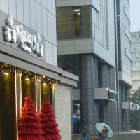 елка для дальтоника :: Лера 