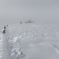 Зимние прогулки :: Anna Ivanova Зимние прогулки :: Anna Ivanova