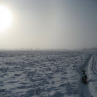 Зима :: Anna Ivanova