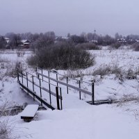 Пасмурный день. :: Сергей Ц