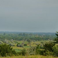 Летнее утро... :: Надежда Куркина Летнее утро... :: Надежда Куркина