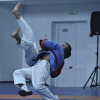 Борьба на поясах :: Александр Гриднев