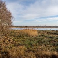 Заповедное место... :: Николай Гирш