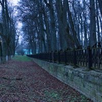 Аллея в Дубровицах :: Артём Аллея в Дубровицах :: Артём