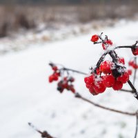 ***** :: юрий поляков ***** :: юрий поляков