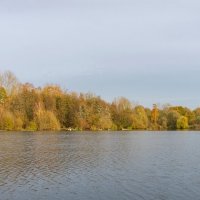 *** :: Николай Гирш