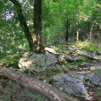 Каньон реки Мзымта Сочи :: Tata Wolf Каньон реки Мзымта Сочи :: Tata Wolf