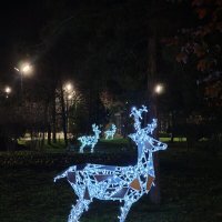 Светящиеся олени в парке ... :: tatyana 
