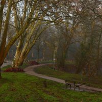 Декабрь,рассвет :: Юрий. Шмаков