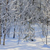 Лесная сказка :: Татьяна Лютаева