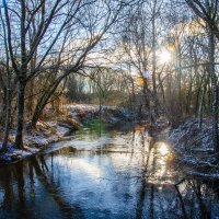 ____ :: Галина Ложечникова