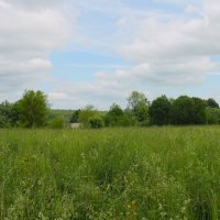 ЛЕТНИЙ ИЮНЬСКИЙ ДЕНЬ :: Валентина 