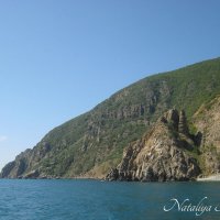 Природа Крыма :: Amazing Cosmea