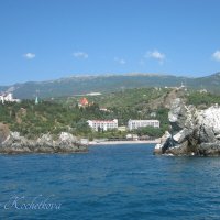 Природа Крыма :: Amazing Cosmea