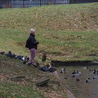 Медитация :: Магомед .