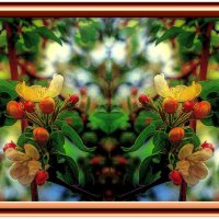 Цветение :: Владимир Кроливец Цветение :: Владимир Кроливец