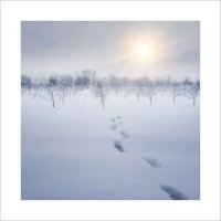 * :: Александр Иванов