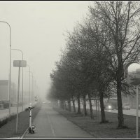 *** :: Aleksandr Gal