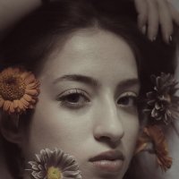 Цветы :: Максим Цветы :: Максим