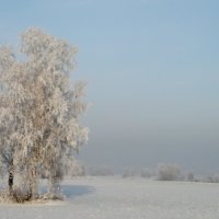 Зимняя тишина. :: nadyasilyuk Вознюк