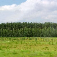 В районе деревни Орёл :: Александр Ильчевский 