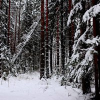 *** :: Александр 