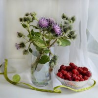 Соседство... :: Надежда Куркина 