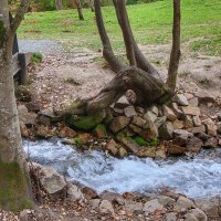 На голубых озерах :: Irene Irene