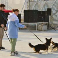 Общение :: Александр Рыжов