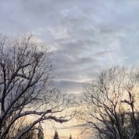 Графика зимы :: Нина северянка