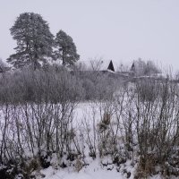 Сельский вид. :: Сергей Ц