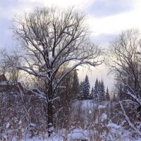 Графика зимы :: Нина северянка