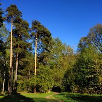 Мне всегда есть ЧТО вспомнить :: Андрей Лукьянов