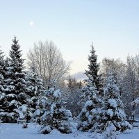 В городском сквере :: Галина Нестратова