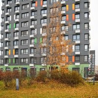 11 дней до Нового года :: Валерий Иванович