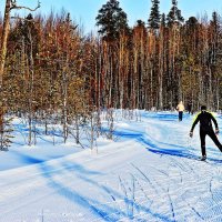Январь...Лыжня- это  и спорт, и и прогулки! :: Владимир 