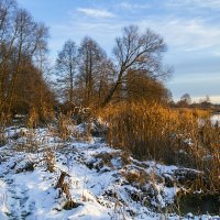На берегу :: Сергей Цветков