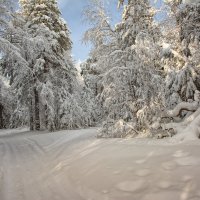 Белоснежная зима :: Vladimbormotov 