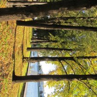 на набережной :: Елена Шаламова