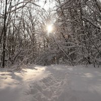 Скоро день уже начнёт прибавляться! :: Андрей Заломленков